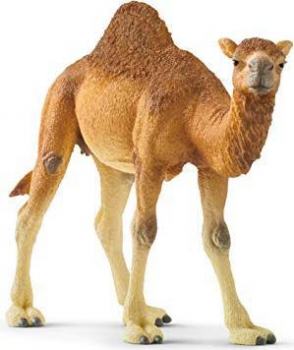 Schleich-Wild Life Dromedar