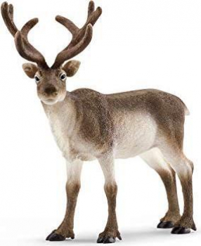 Schleich-Wild Life Rentier