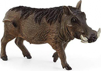 Schleich-Warzenschwein