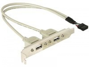DeLock USB-Konsole (Slotblende)