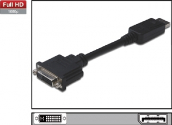 Adapter DisplayPort <-> DVI