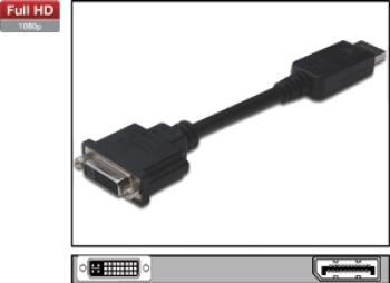 Adapter DisplayPort DVI