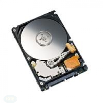 Fujitsu HDD SATA II 1000GB b.critical