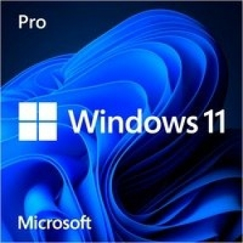 Microsoft Windows 11 Professional /DE/64-bit/DSP/DVD