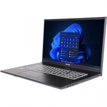 terra 17.3" Mobile 1716T/i5-1135G7 4x0.90GHz/8GB/512GB SSD/W11 Pro