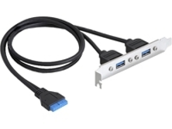 DeLOCK Slotblende 2x USB3.0