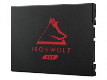 Seagate IronWolf 125/NAS SSD +Rescue/250GB