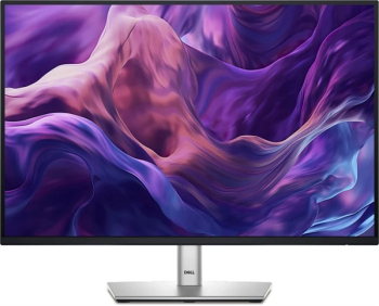 Dell P2425E/24.07"